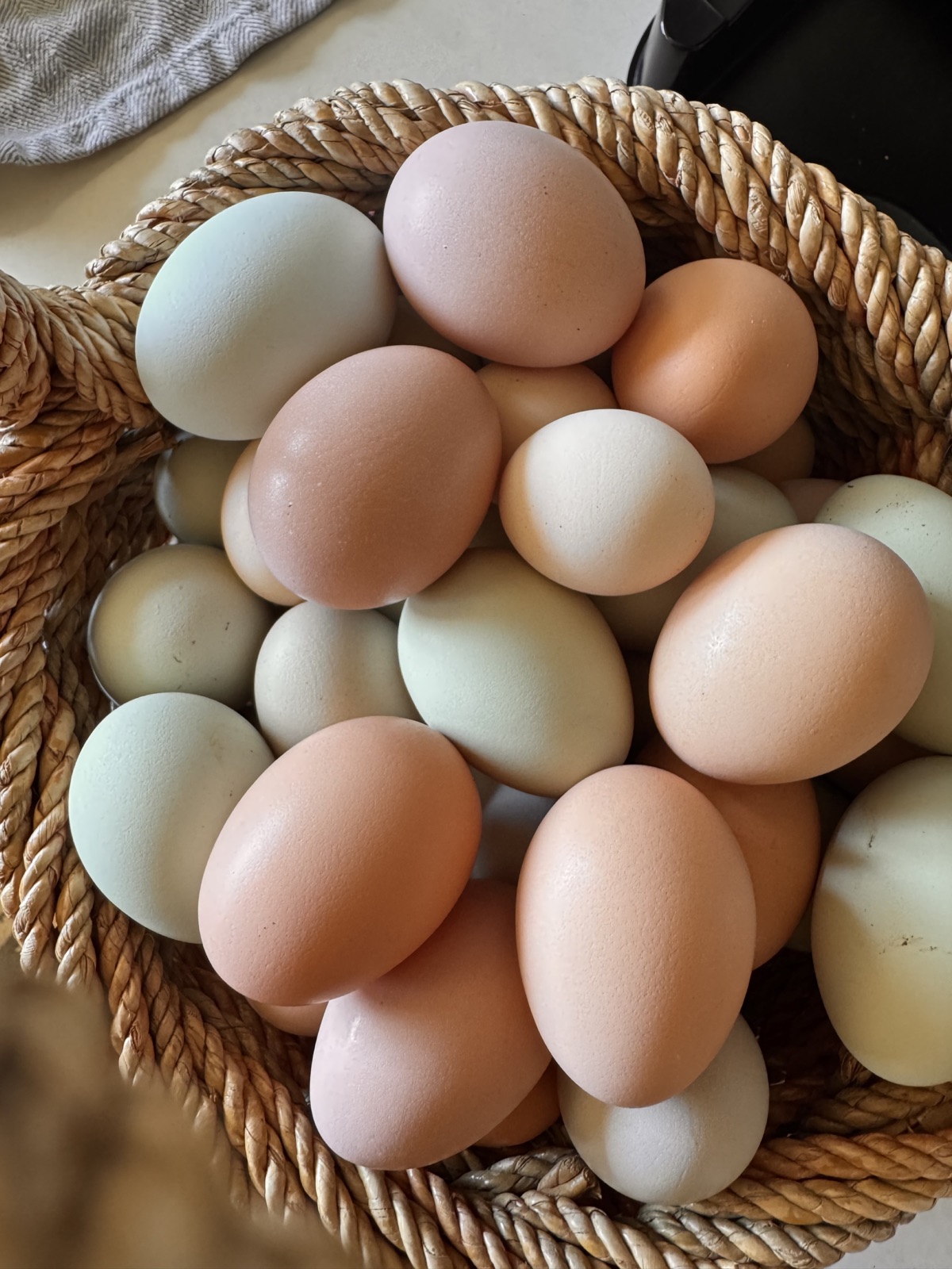 Fresh eggs and woven baskets at Muse Homestead